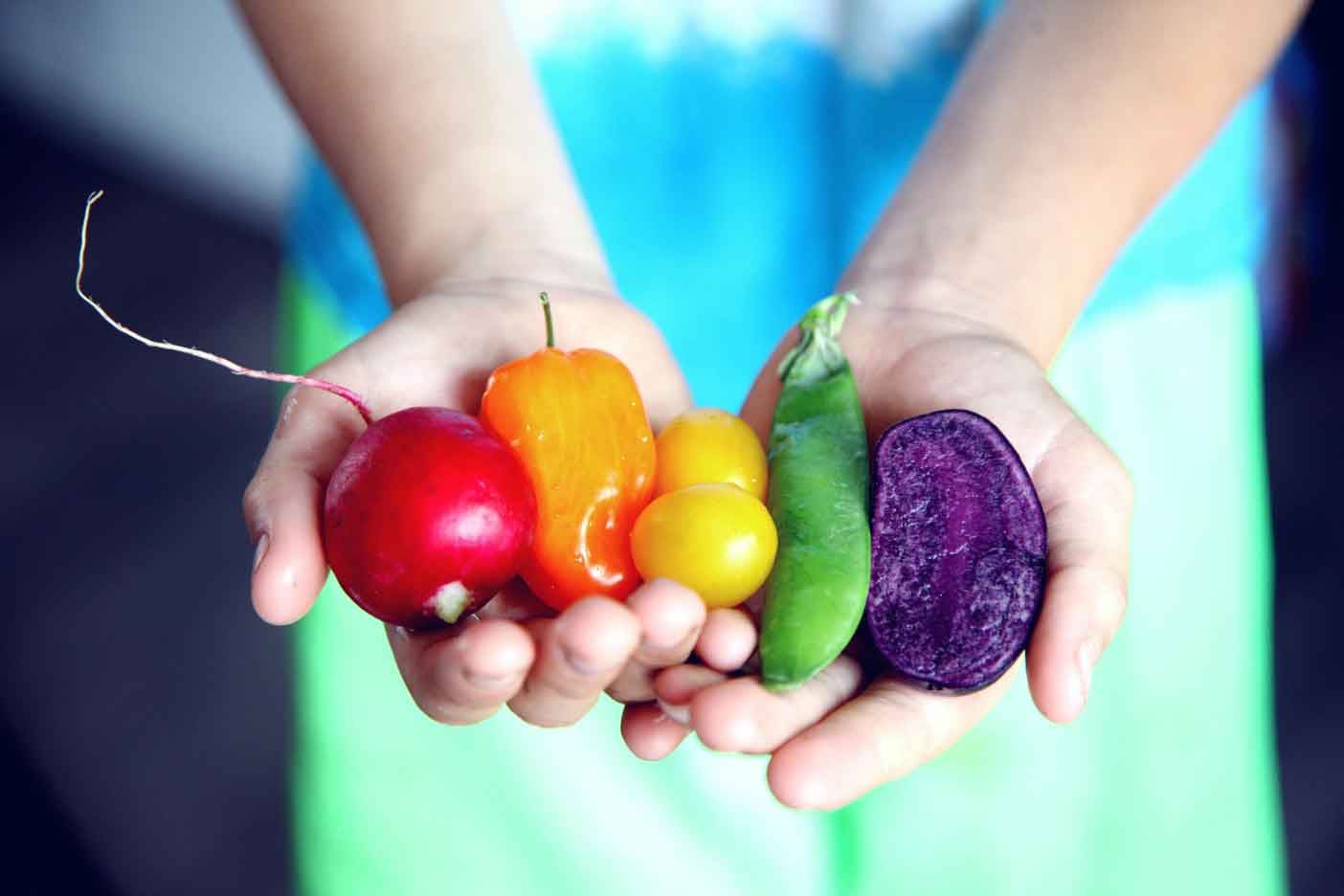 Formation Nutrition - Module 2 - Favoriser la sérénité alimentaire