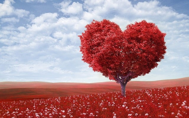 Arbre dont les feuilles sont taillées pour représenter un coeur rouge