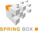 Logo Spring Box