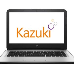 rdv-online-sophroligie-coaching-kazuki