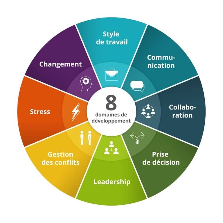 mbti-tki-strong-management-leadership-dirigeant-equipe-communication-conflit